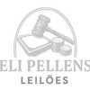 Eli Pellens Leilões